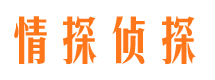 秀屿市调查公司